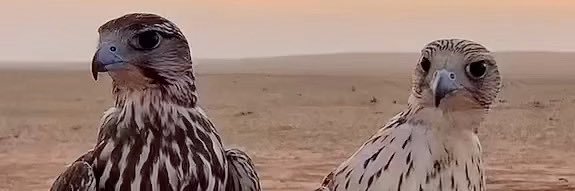 A_KU90's profile banner image