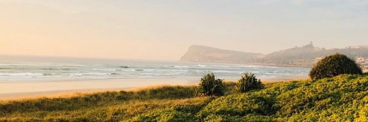 caitlintiller's profile banner image