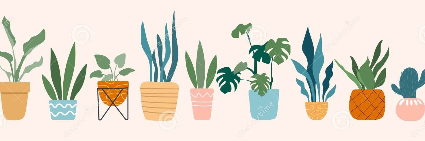 ann_dule's profile banner image