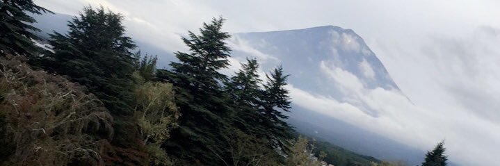 AdoooLeee's profile banner image
