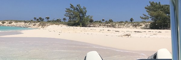 MeghanReichard Profile Banner