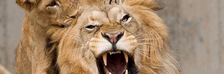 7timhart's profile banner image