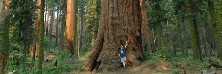 John Brantingham banner