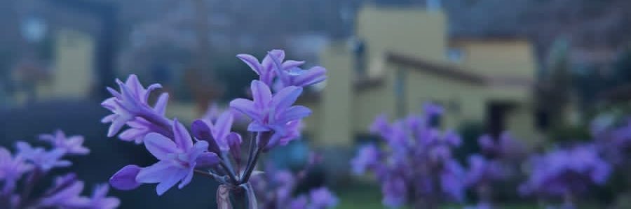 nilrodasherrera's profile banner image