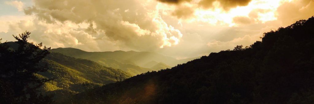 MHWilson's profile banner image