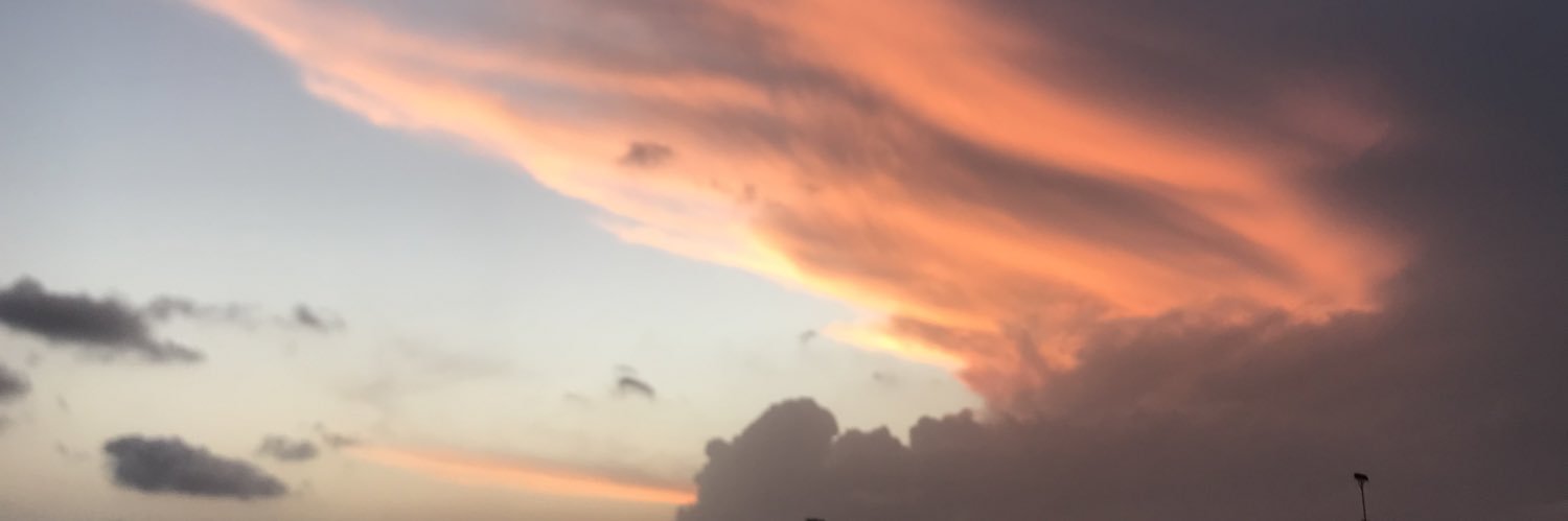 silveiras701's profile banner image