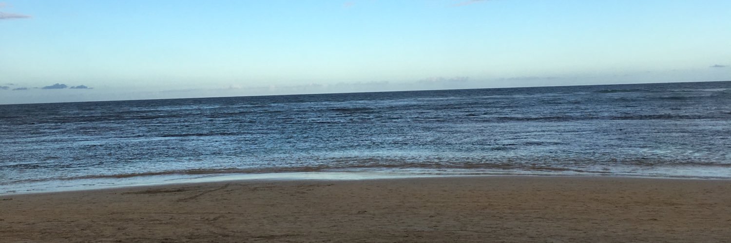 howsmydriving's profile banner image