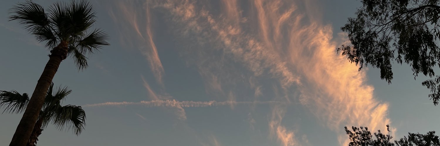 whoisvaness's profile banner image