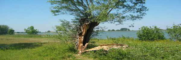 Infocadl2015 Profile Banner