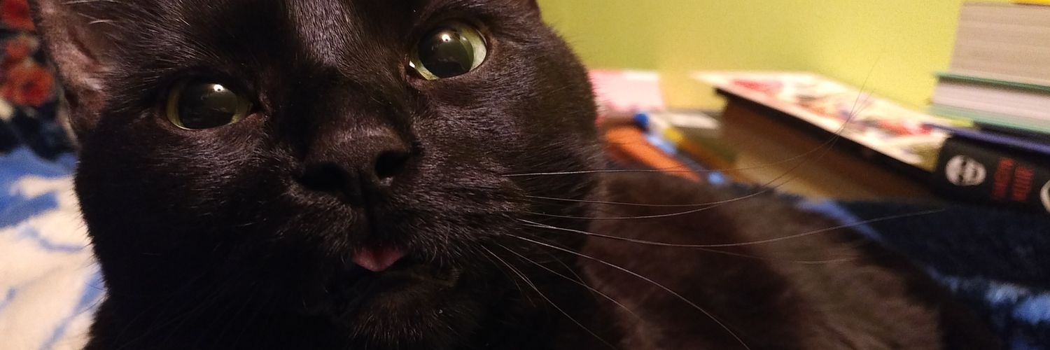 🦇Jenny🦇 banner