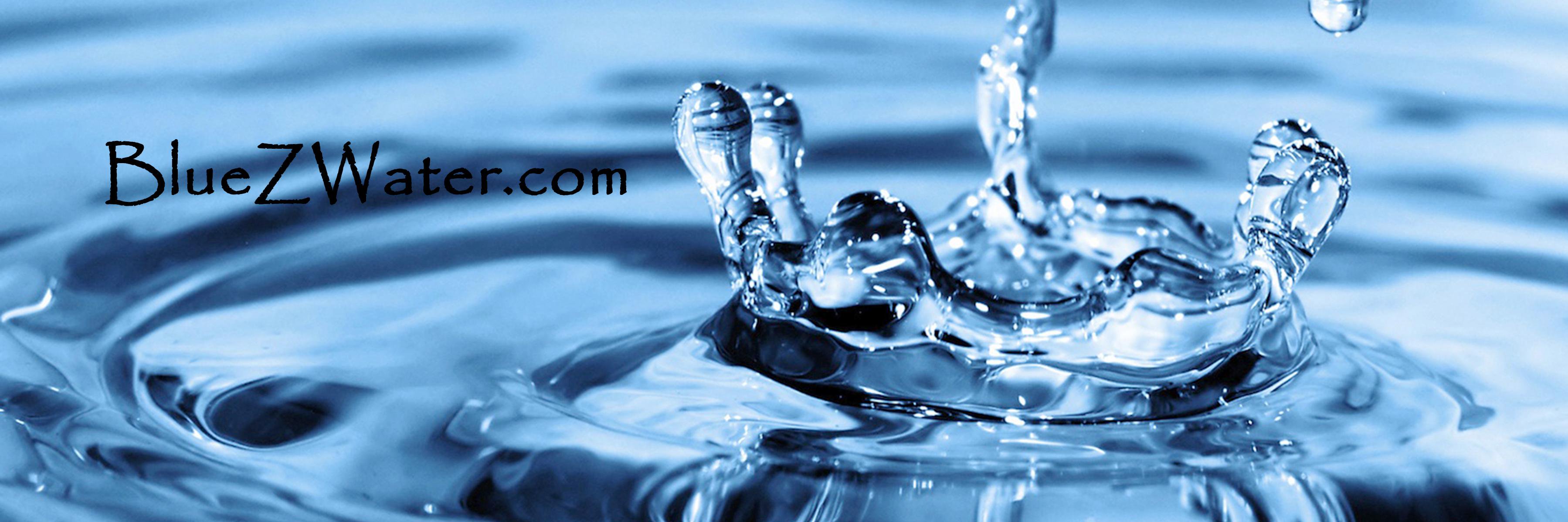 TheBlueZWater's profile banner image
