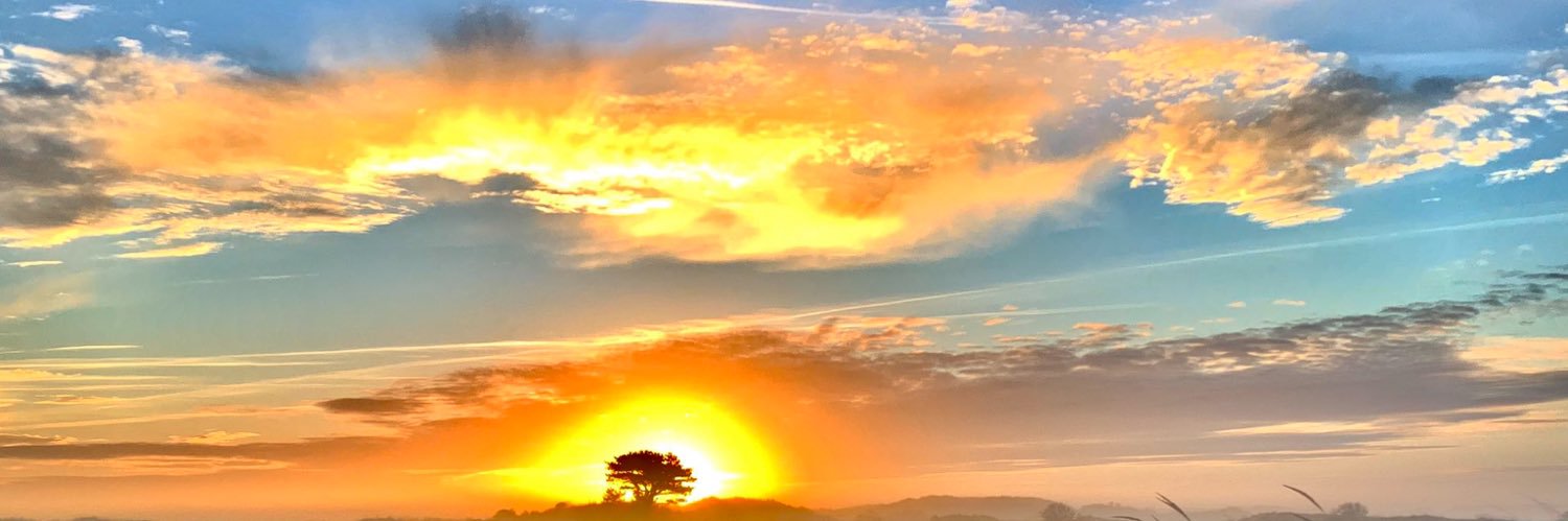 neestrandhuizen's profile banner image
