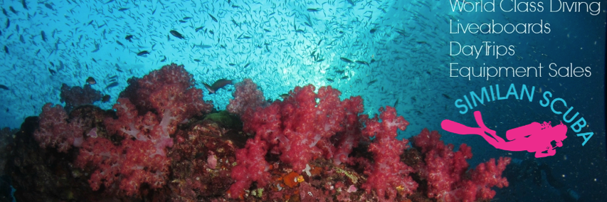 similan_scuba's profile banner image