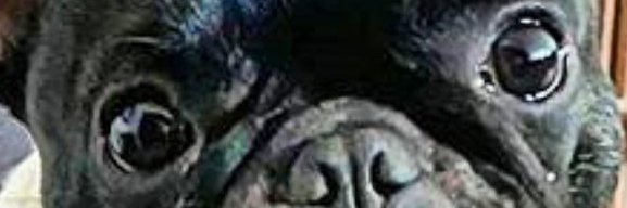 kDmasss's profile banner image