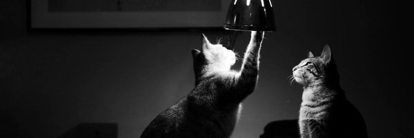 autoscanner Profile Banner