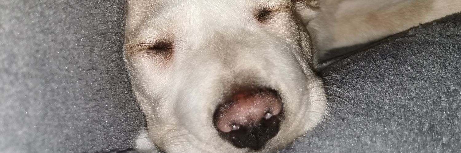 IscoLopez25's profile banner image