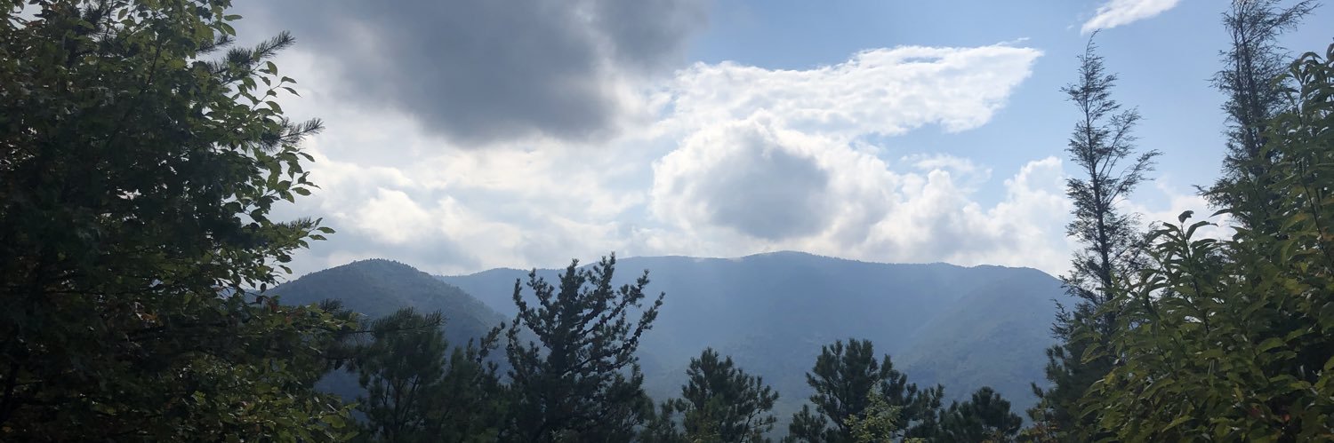 TWinesett's profile banner image