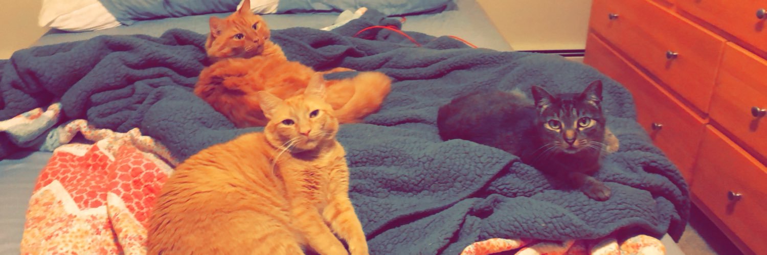 A_Sullivan19's profile banner image