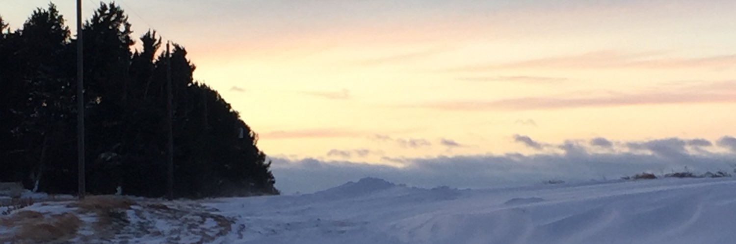 ReidBaumgartner's profile banner image