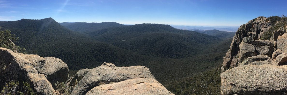 Stephen Isbel banner