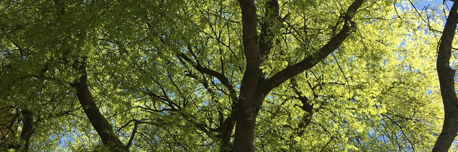 MaddyMurphy1012's profile banner image