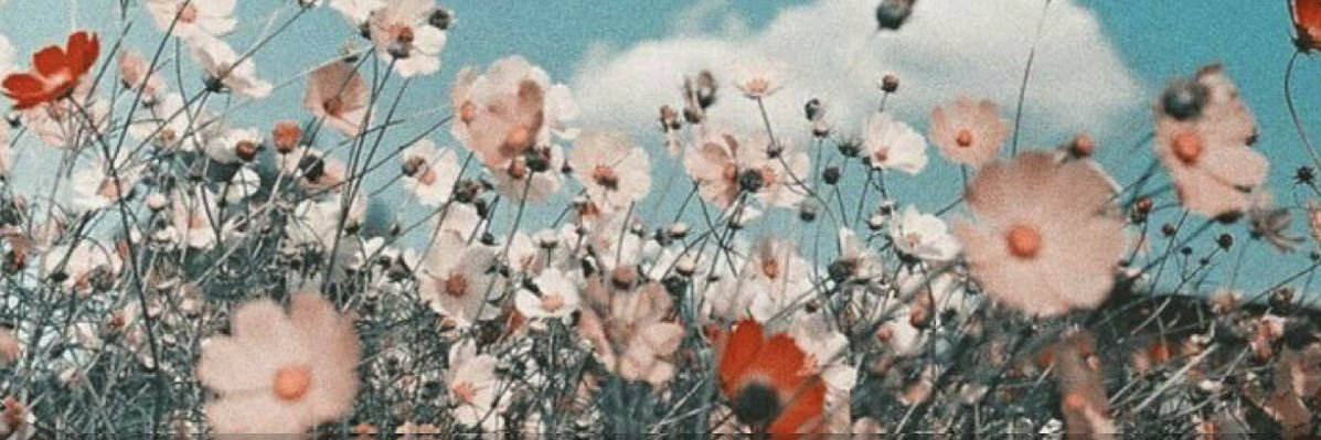 jadeoverton9's profile banner image