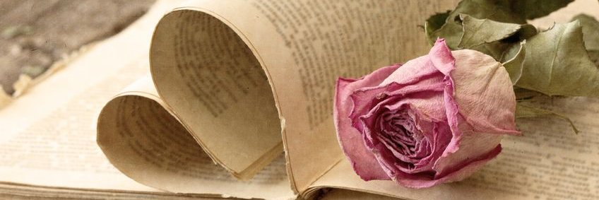 entintasepia's profile banner image
