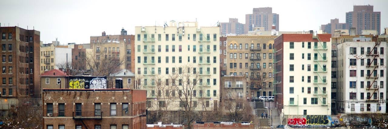 Bronx Freedom Fund banner