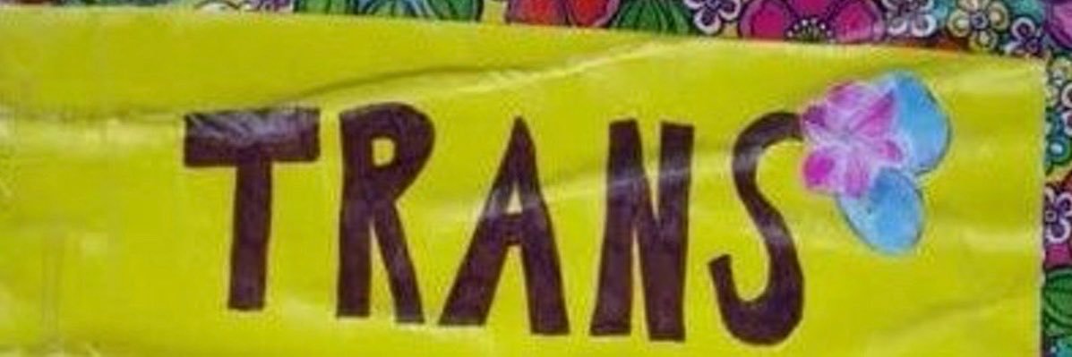 stellafranscis's profile banner image