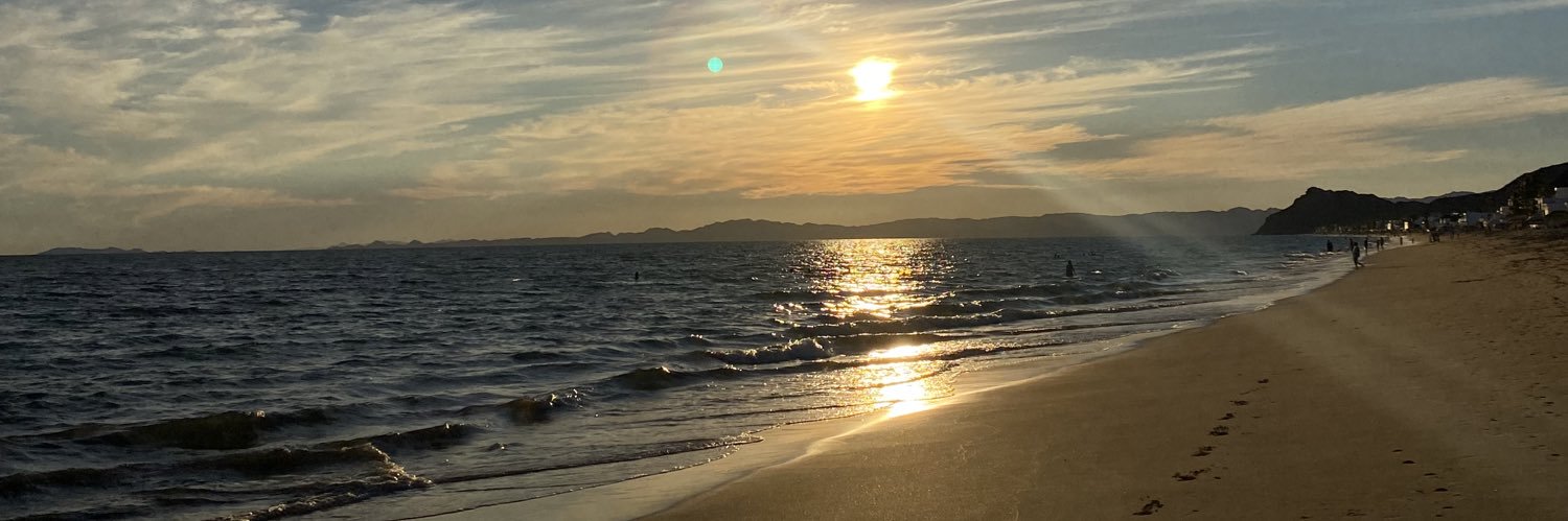 carodelaree's profile banner image