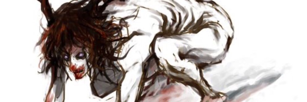WhiskerHunterD's profile banner image