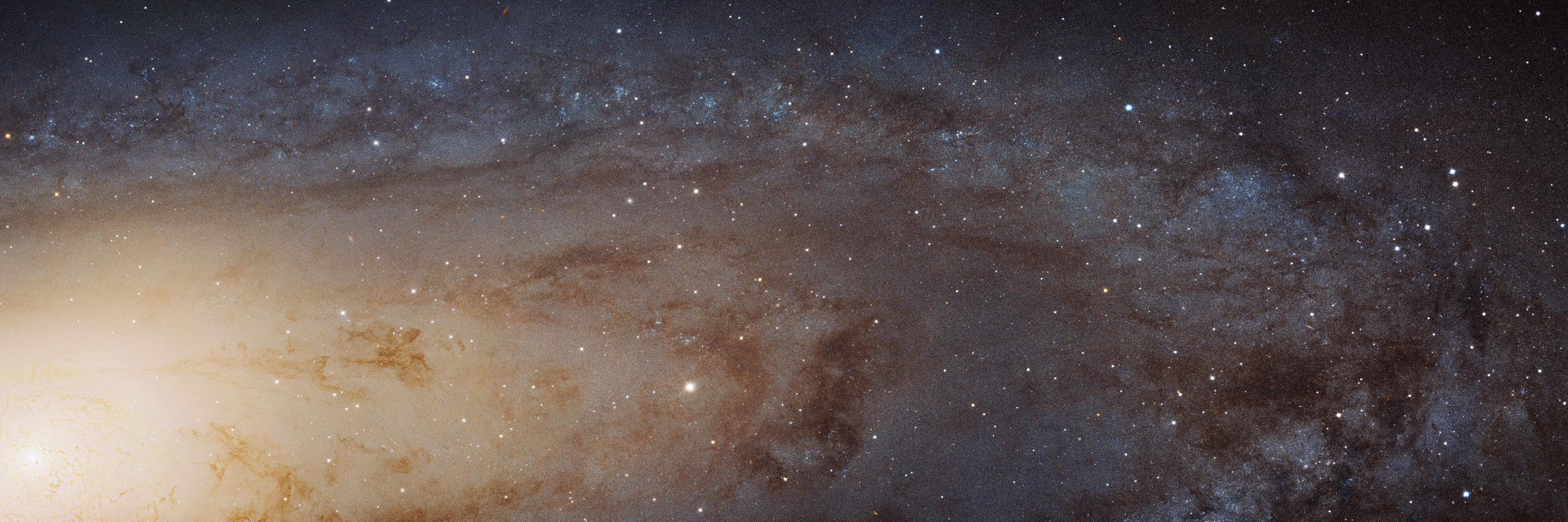 feitser's profile banner image