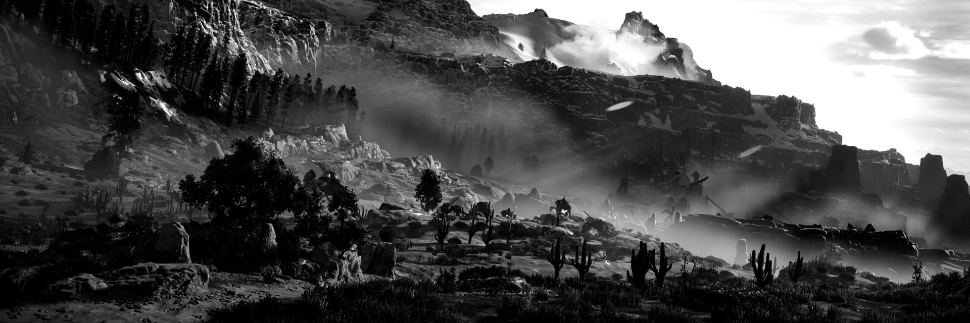 Lolleer's profile banner image