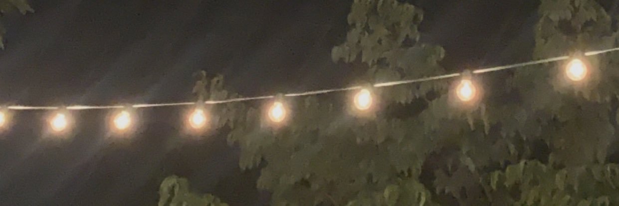 WillieTwoDope's profile banner image