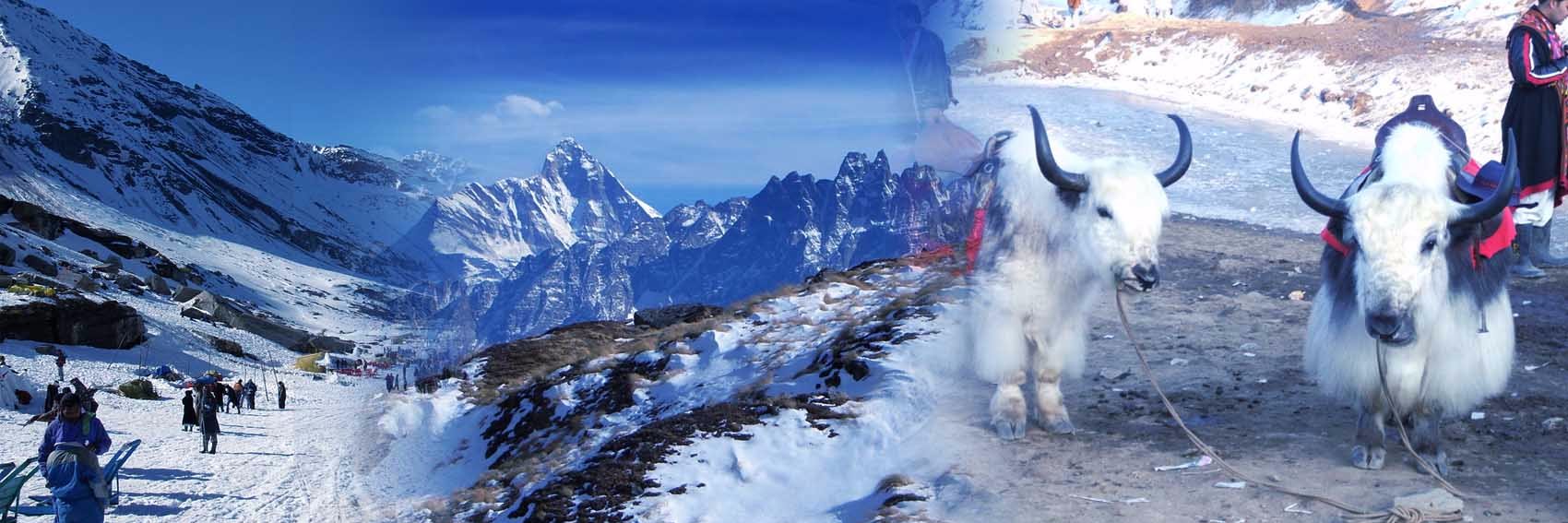 sankettra's profile banner image