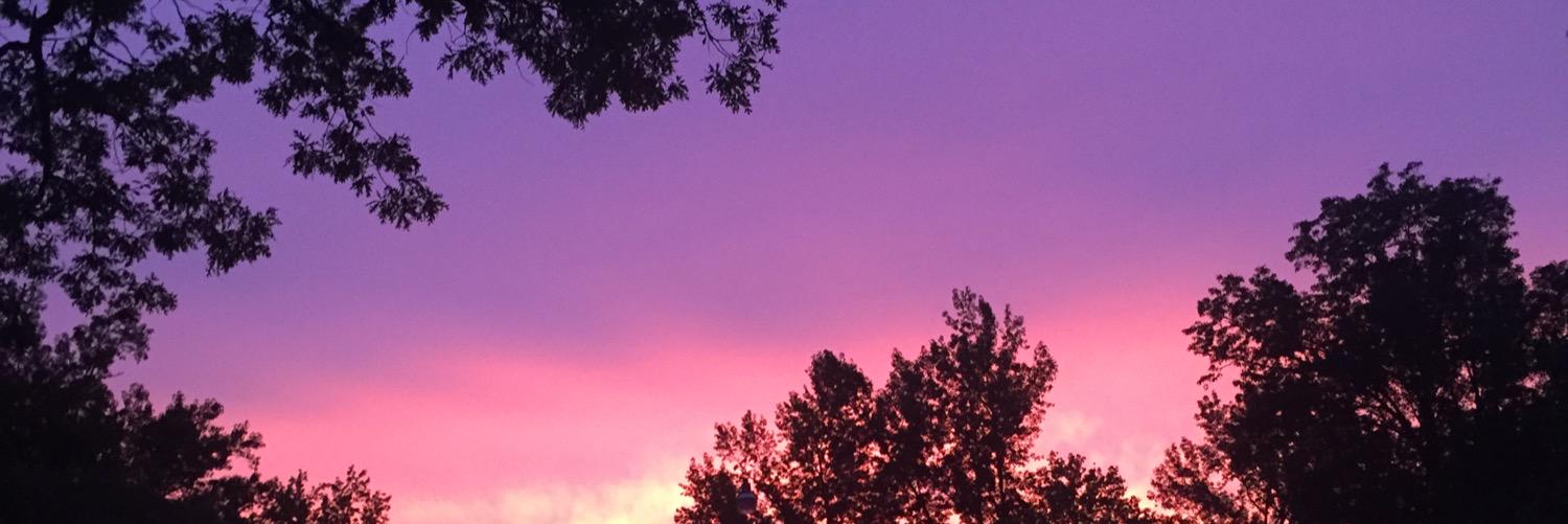 lanarebecca's profile banner image
