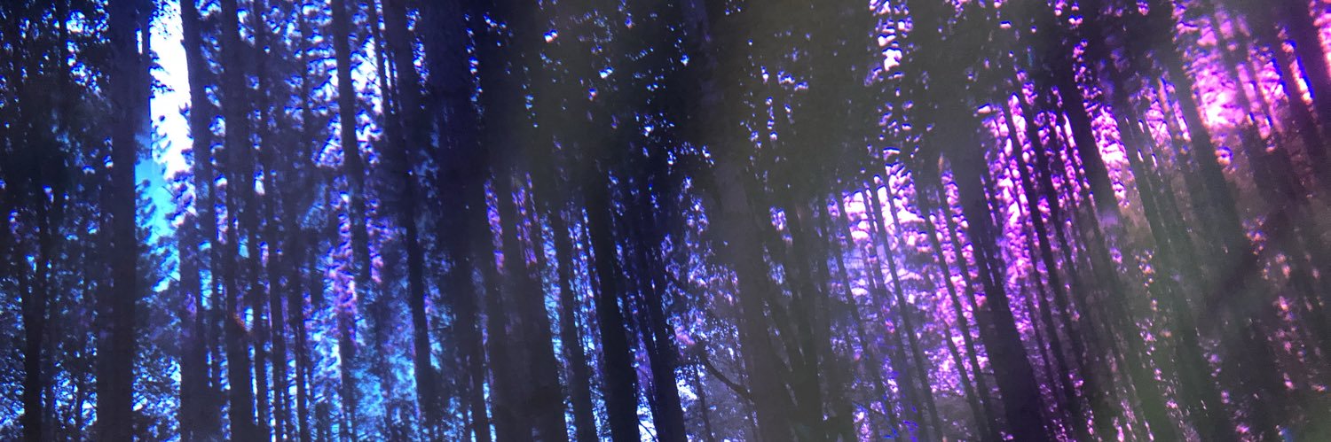 _graceexo's profile banner image