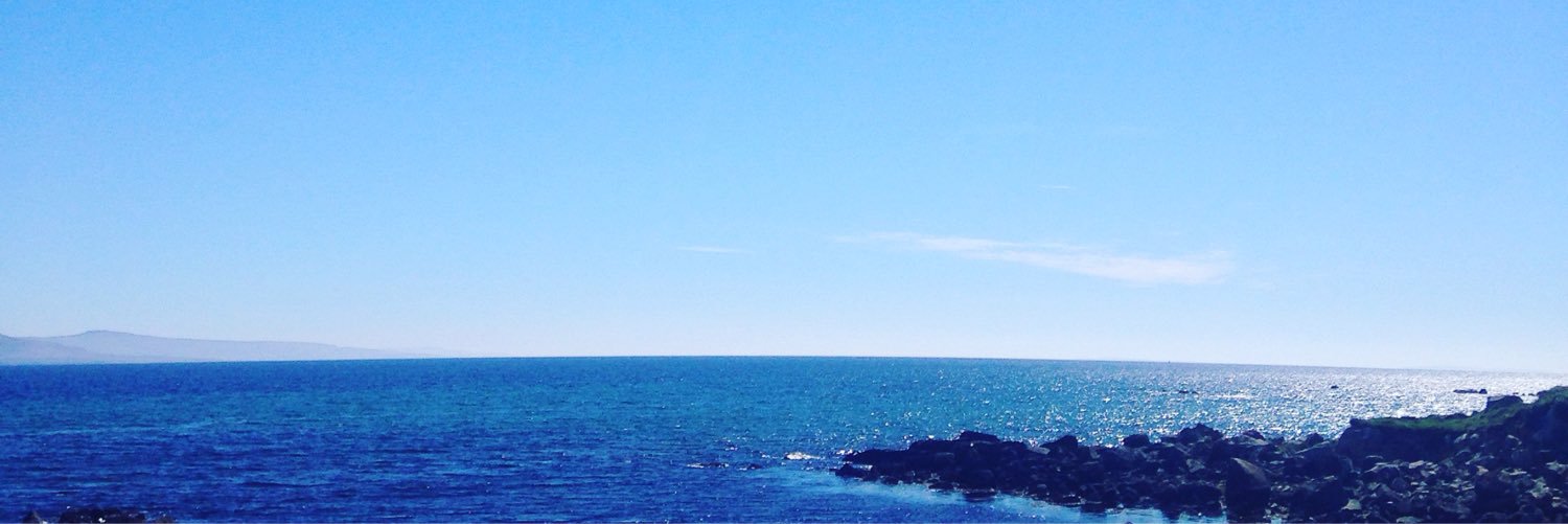 RoisinNiMhullain banner