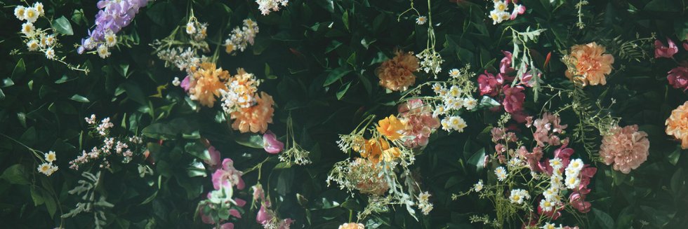 flower_official's profile banner image
