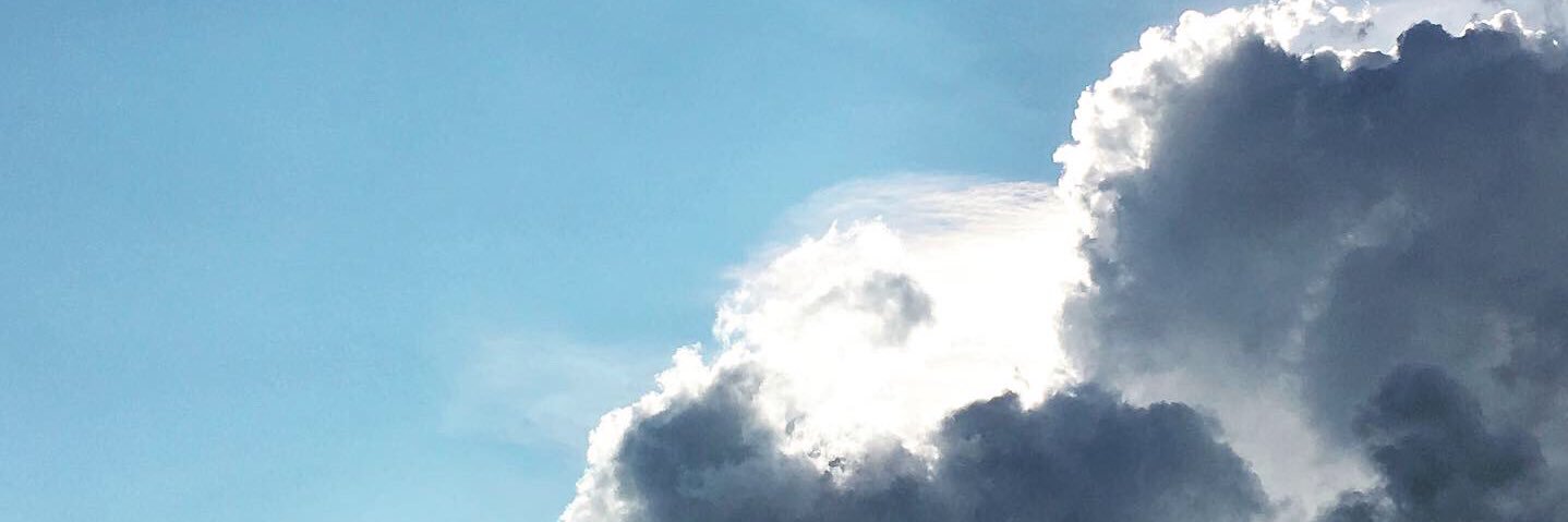 tle banner
