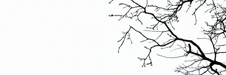 kargadanadam's profile banner image