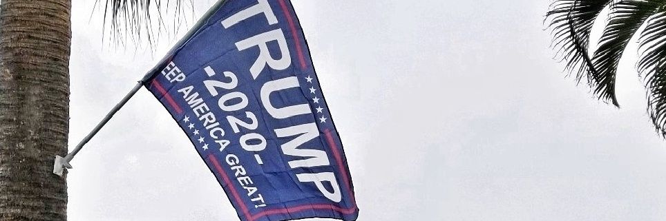 TonjaWidiger's profile banner image