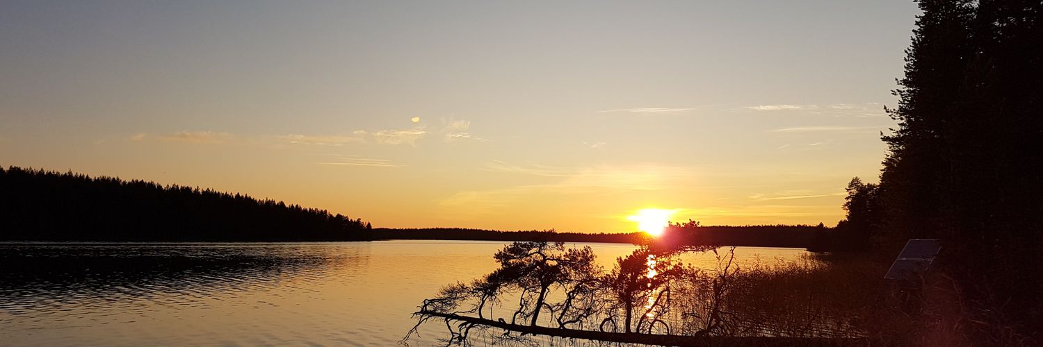 marjuttauriain1's profile banner image