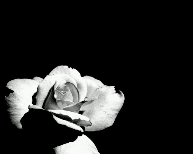 Poohme_Costa's profile banner image