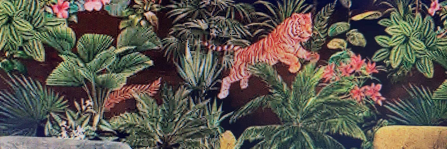 ladybayars's profile banner image
