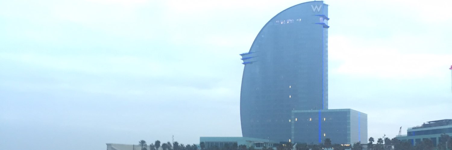 Sheelagh Houlihan banner