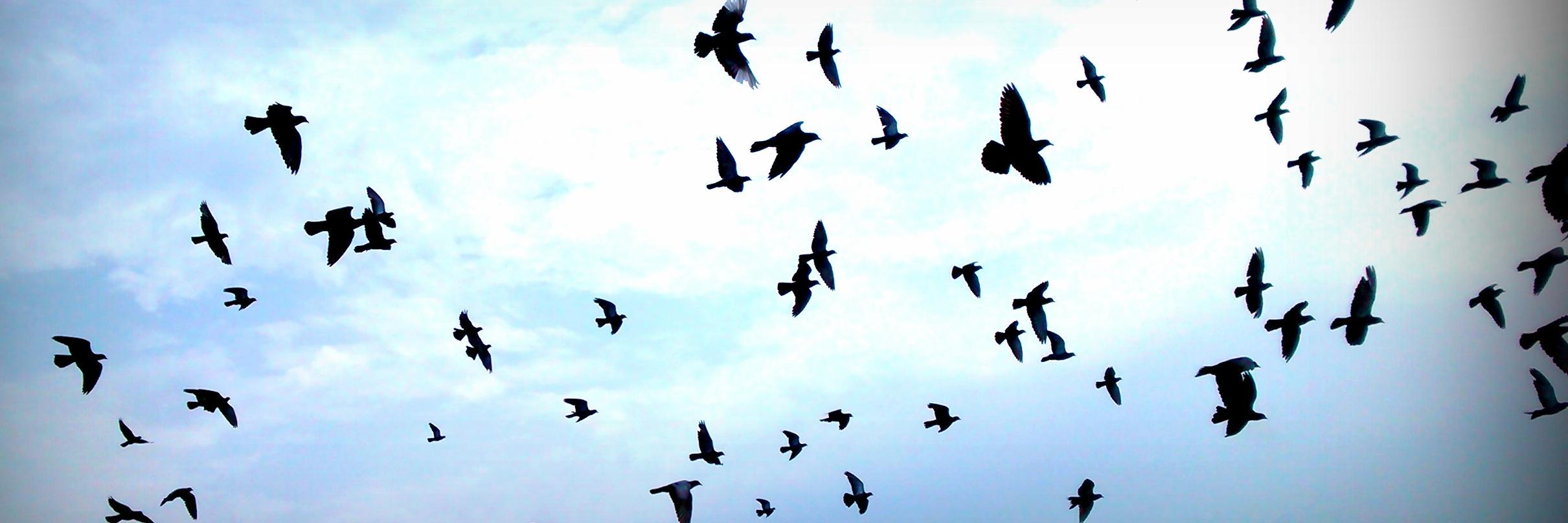 pratish212's profile banner image