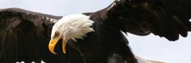 turantakesen's profile banner image