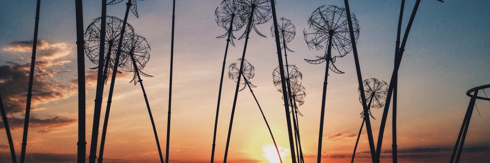 KotKoty_'s profile banner image