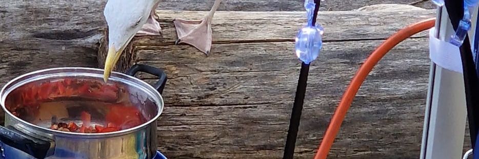 Marek Kala 🇵🇱🇪🇺💪 banner